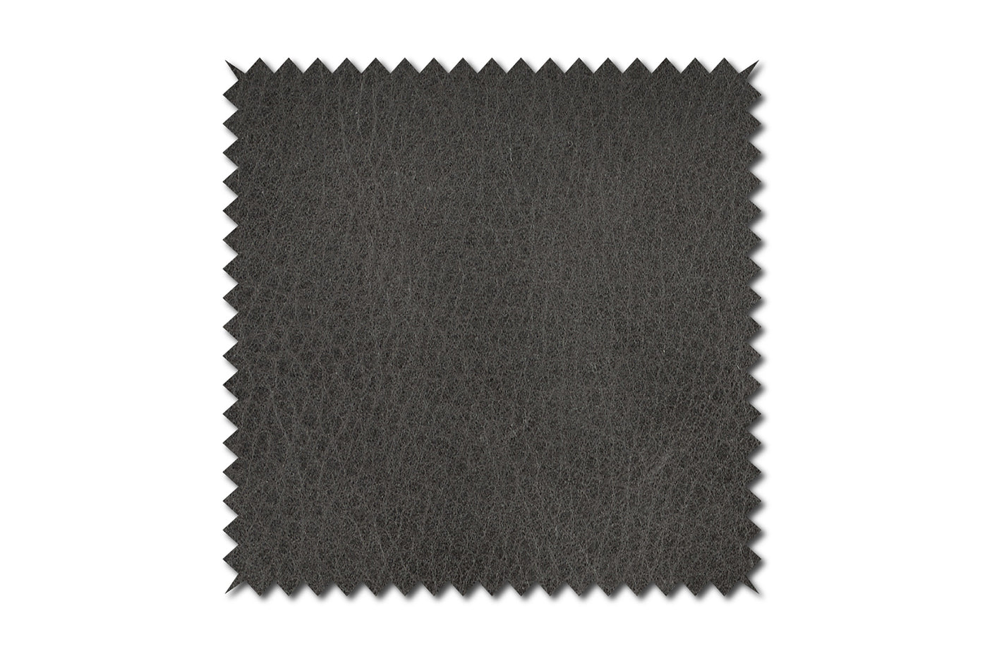 04202ce5-99fd-43e2-956e-a85550b8b212