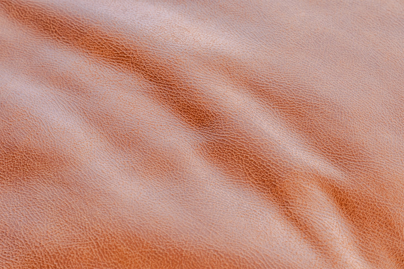 5591fc9b-6349-4dcc-94b9-246730f7e093