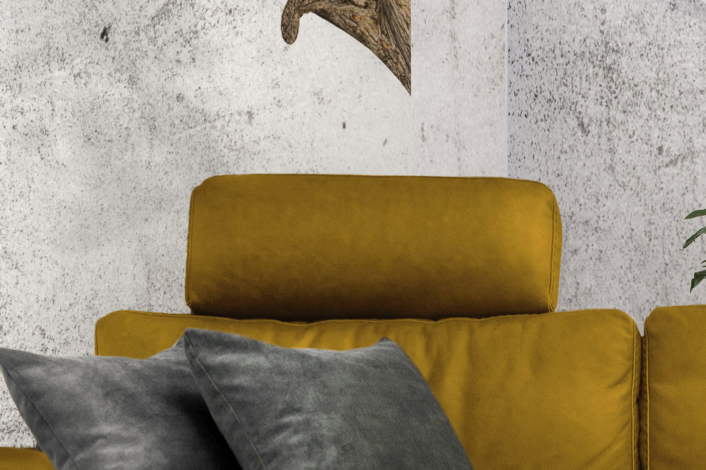 2b1c1277-098a-4408-95a2-46f4f7ff5037