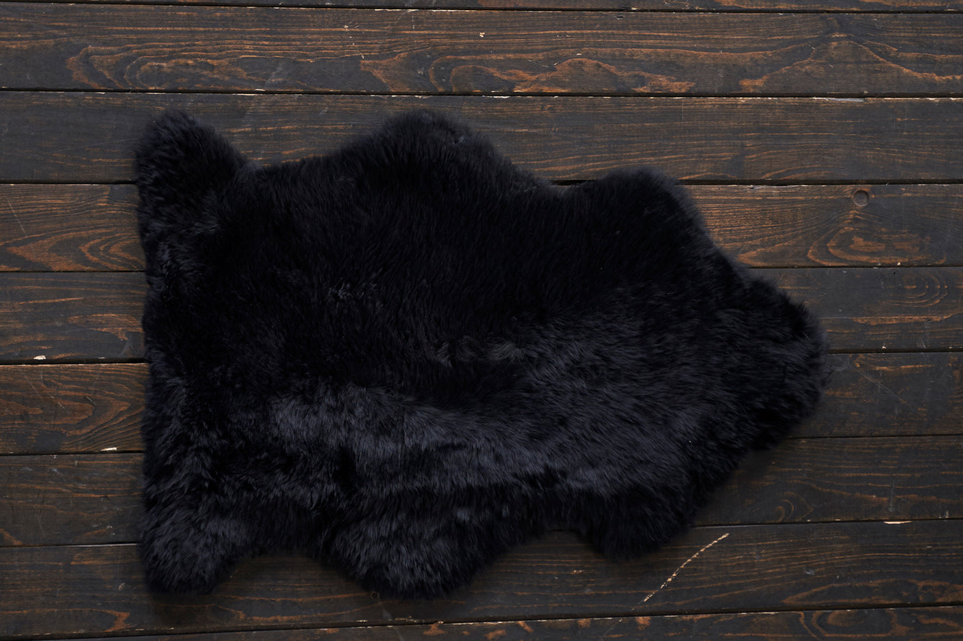 02a6c949-ef09-4b0a-ba49-e959fccd8972