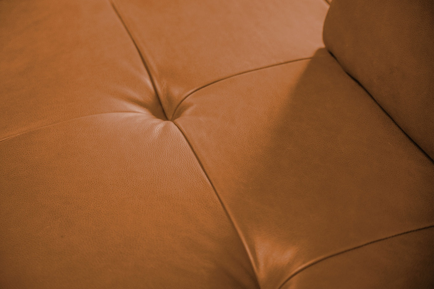 c5e23365-a390-4f5b-ba3c-cb41fff28430