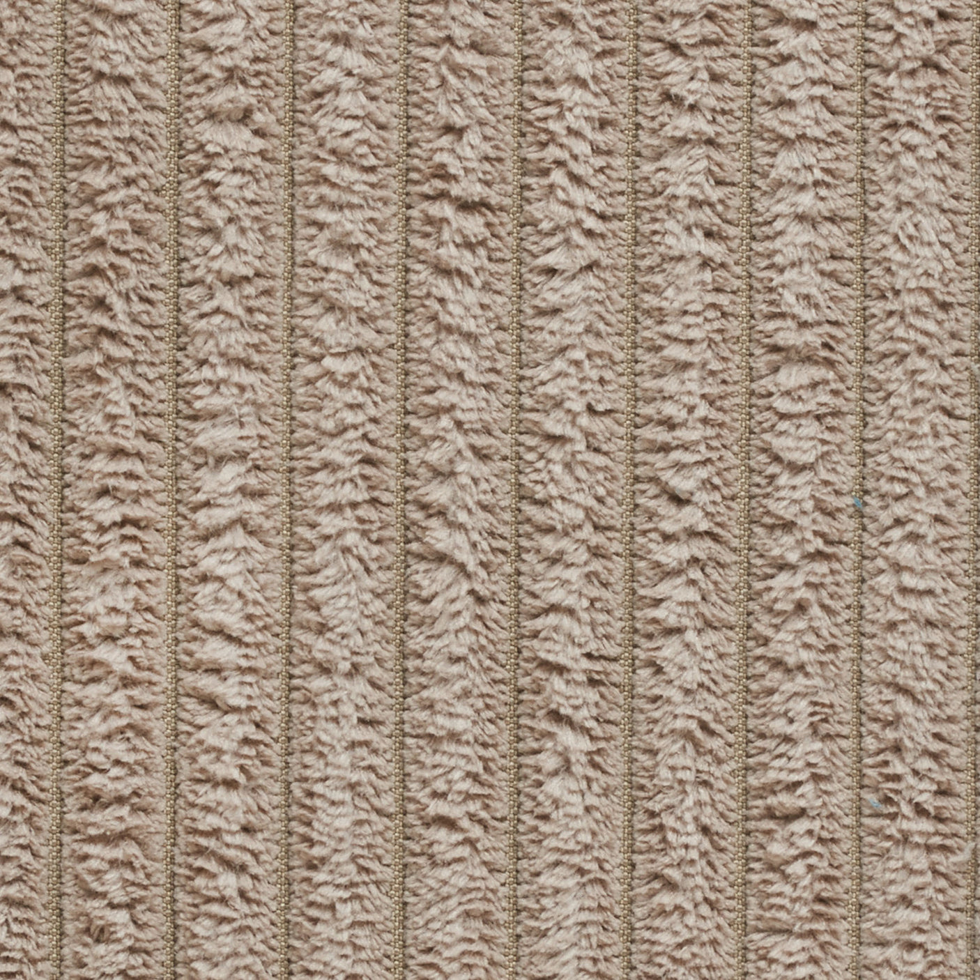 50c58f55-468e-406c-bb98-648d6b4a2496
