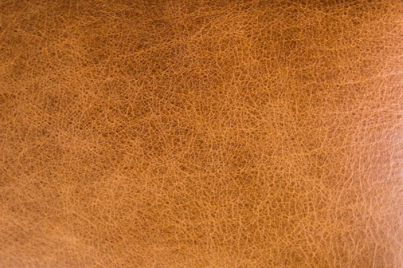 0757147e-06f5-42ad-910a-869c8312cd78