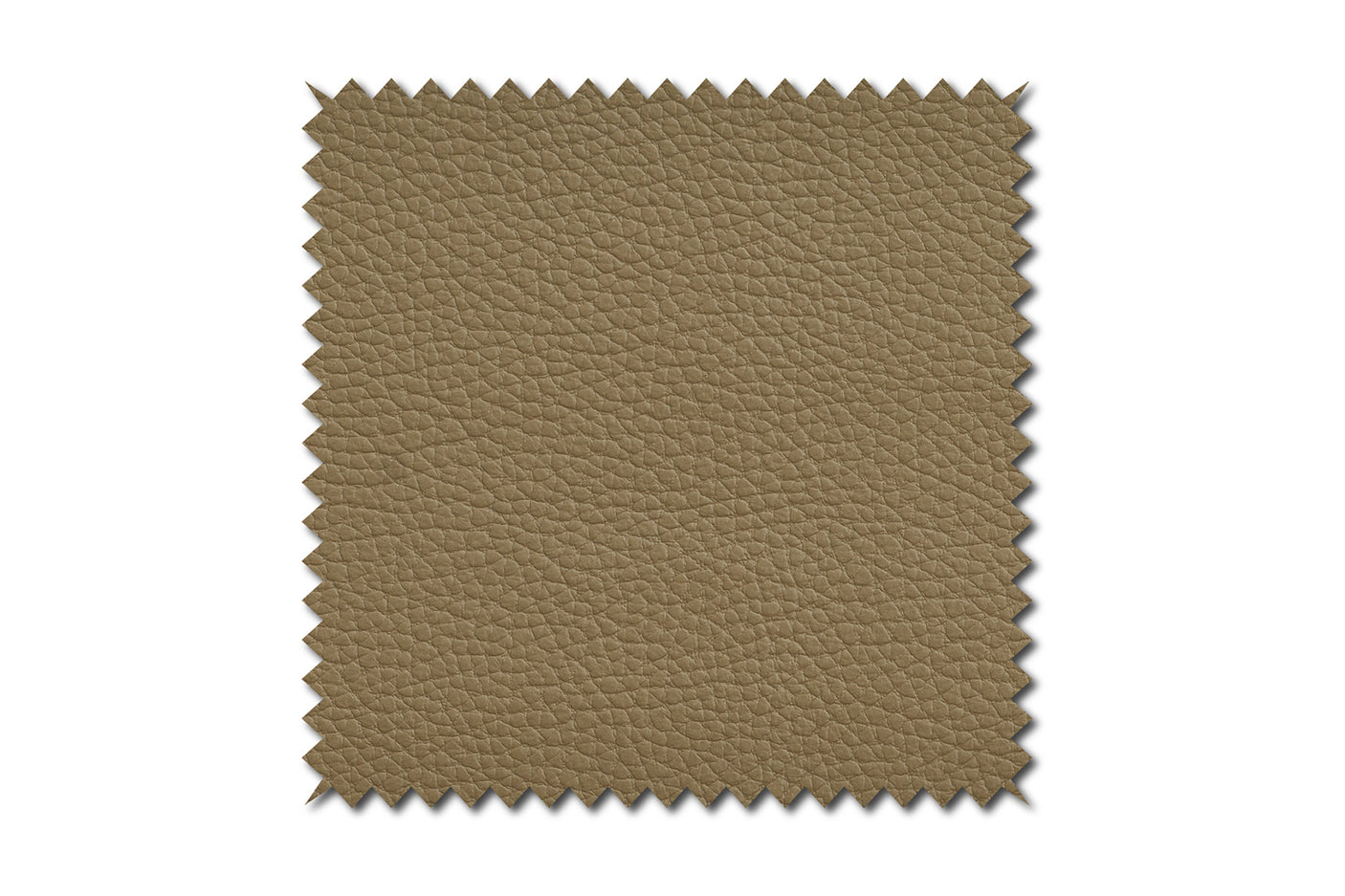 8f785f6e-0187-431e-93c8-c4834c5e5870