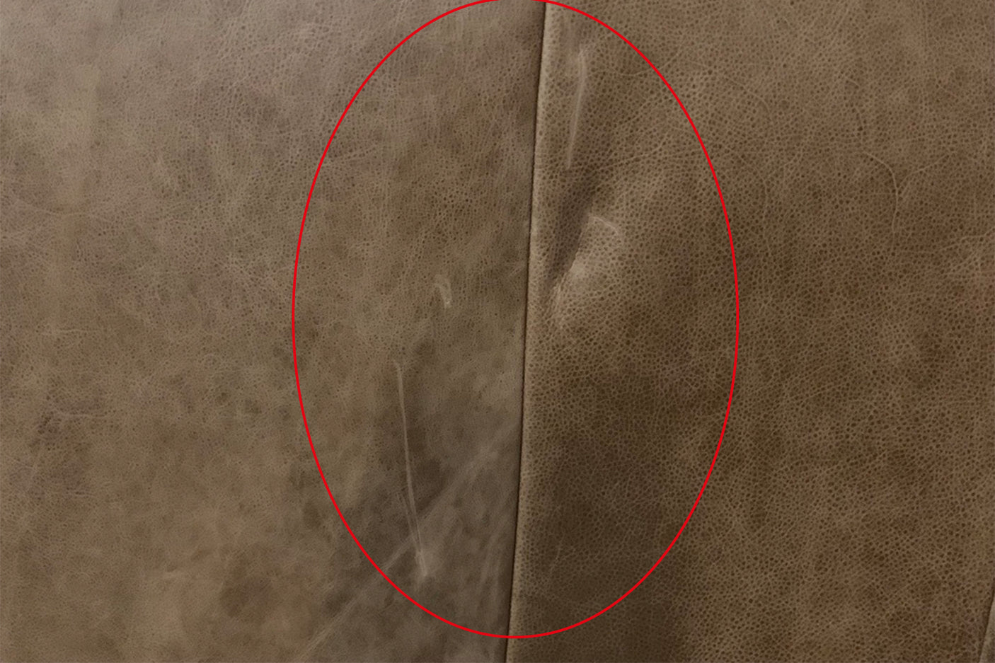 8a632fd6-ffe9-4f03-8117-e3703f2a6ee1