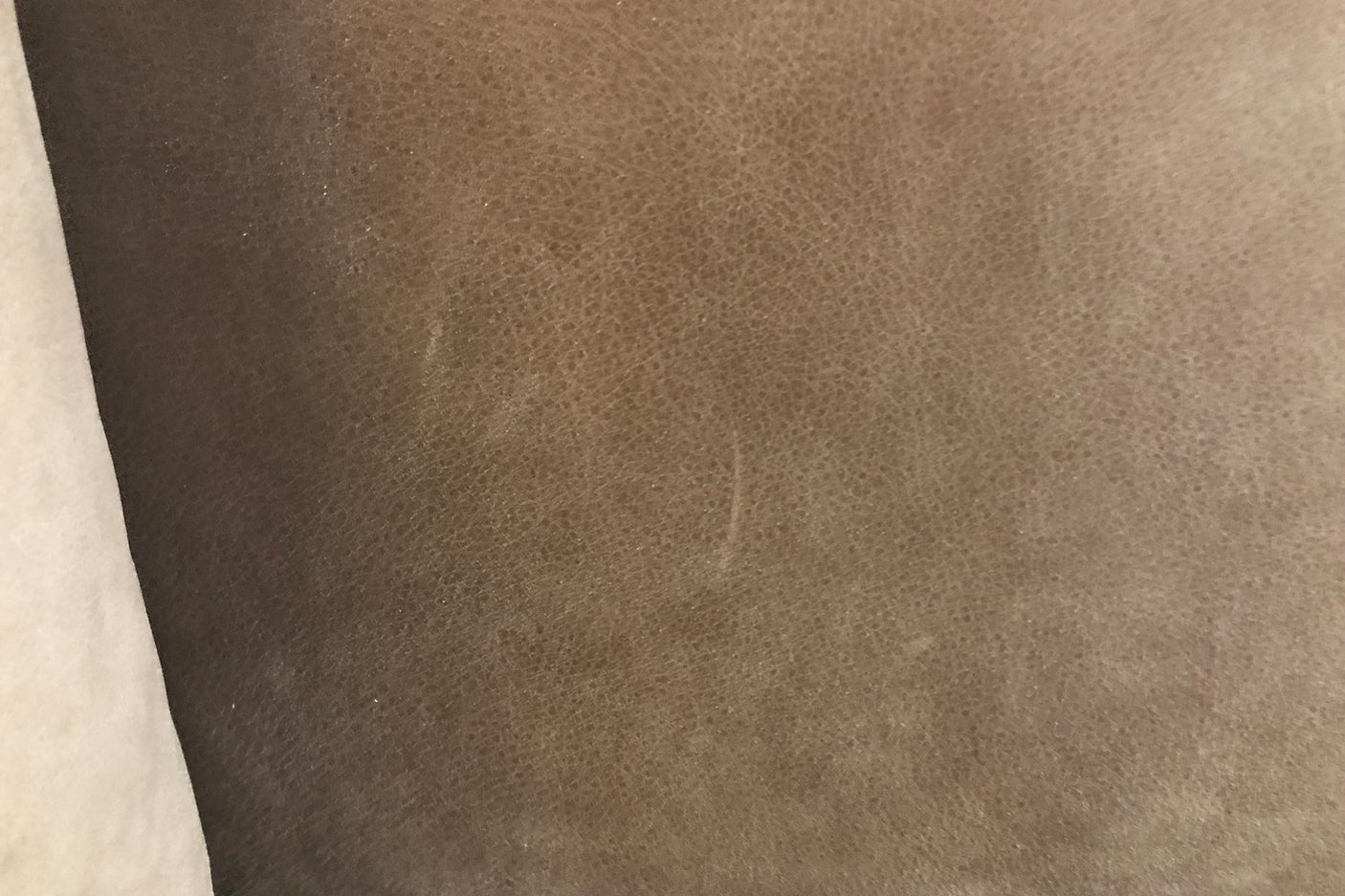 6cb1770d-45ec-4f31-b723-b569a725d5b7