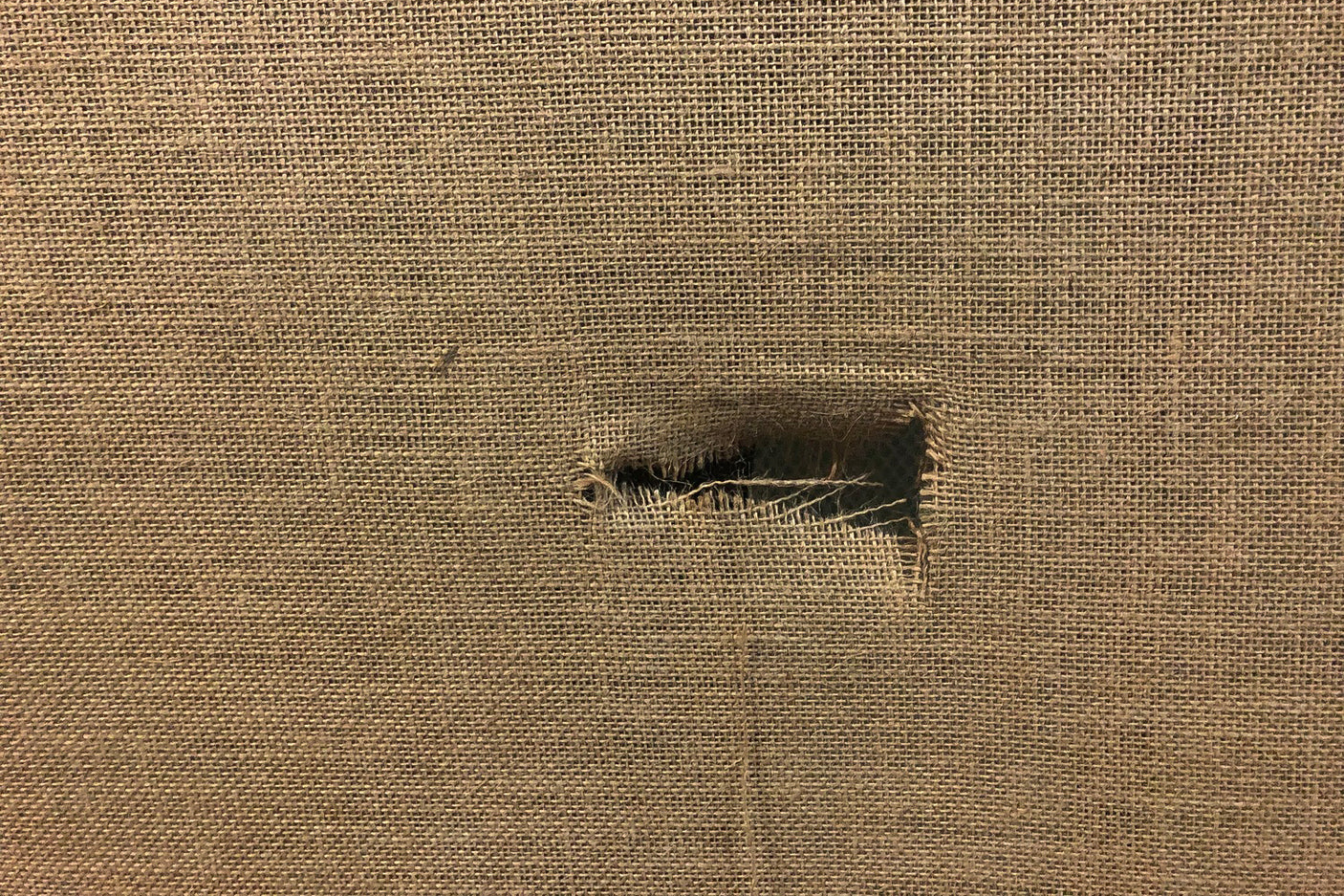 13a0c0c9-771d-493c-9bd6-d606d4594db2