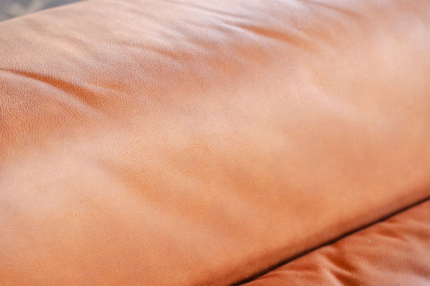 c2e72cc7-6a75-4788-be6d-77d3b6d8b6d3