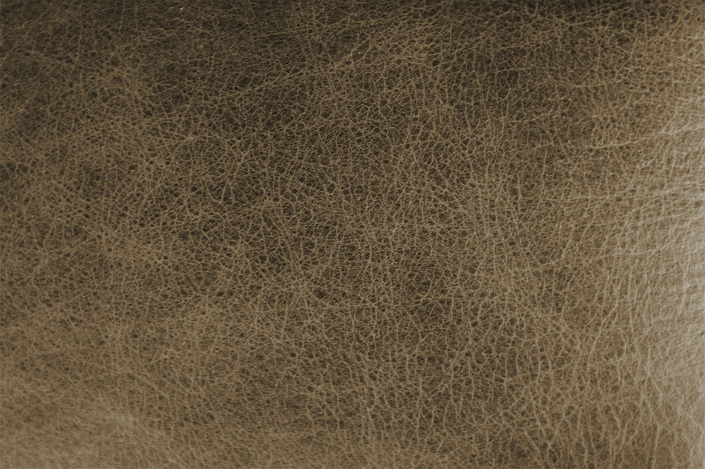 abfb2ced-da04-430b-bc2d-6f7ed880b330