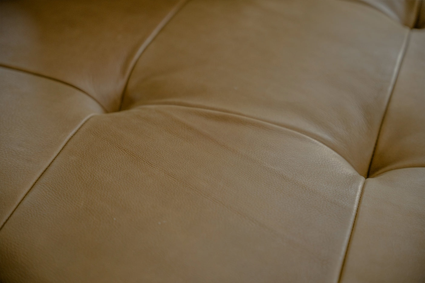 29e5a6d3-91f6-486d-a779-f24949189bde