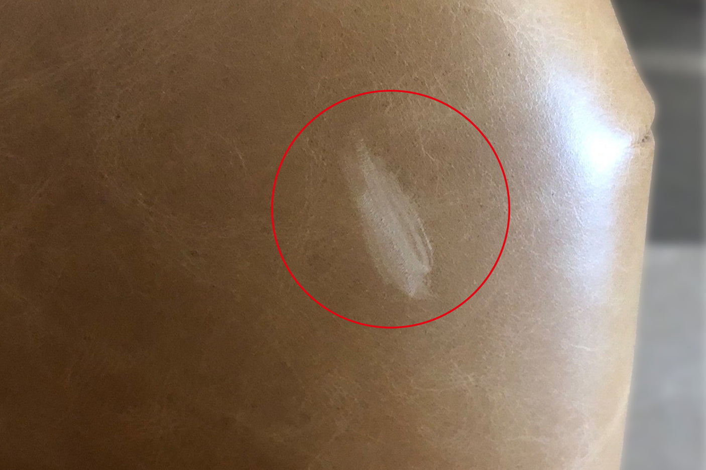 a9ed0120-6c91-4dd4-99a4-8bc07205d8b8