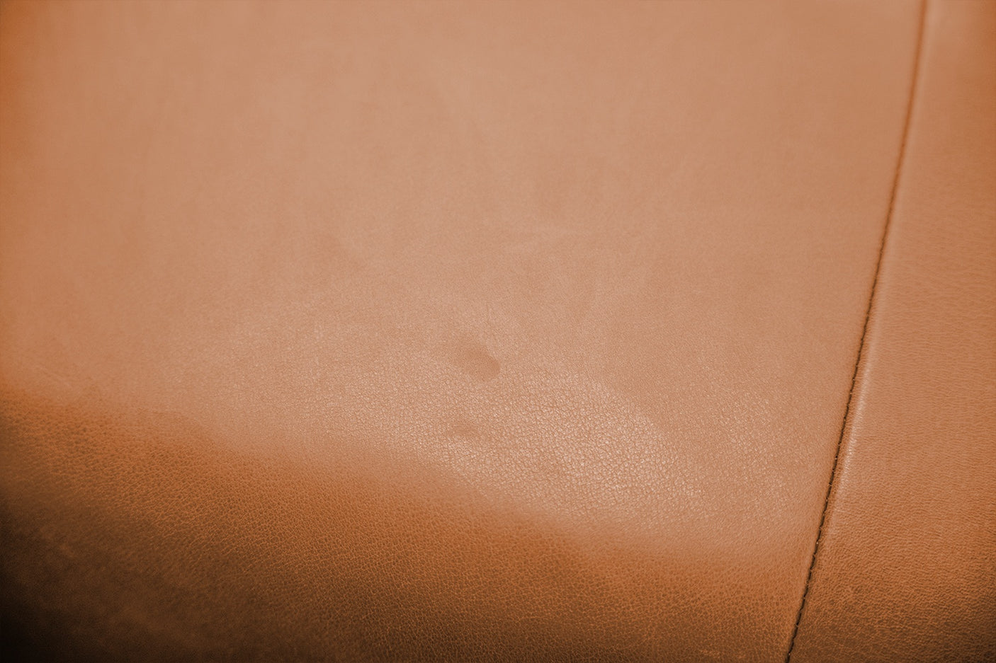 59697829-c19b-4bc6-86ee-bdb3ac999451