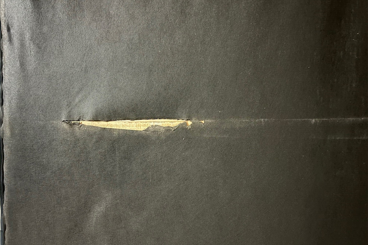 a5e70ed0-eb99-4780-a937-38b2fe330708