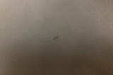1c979487-e087-4d2f-8b37-173723c96aeb