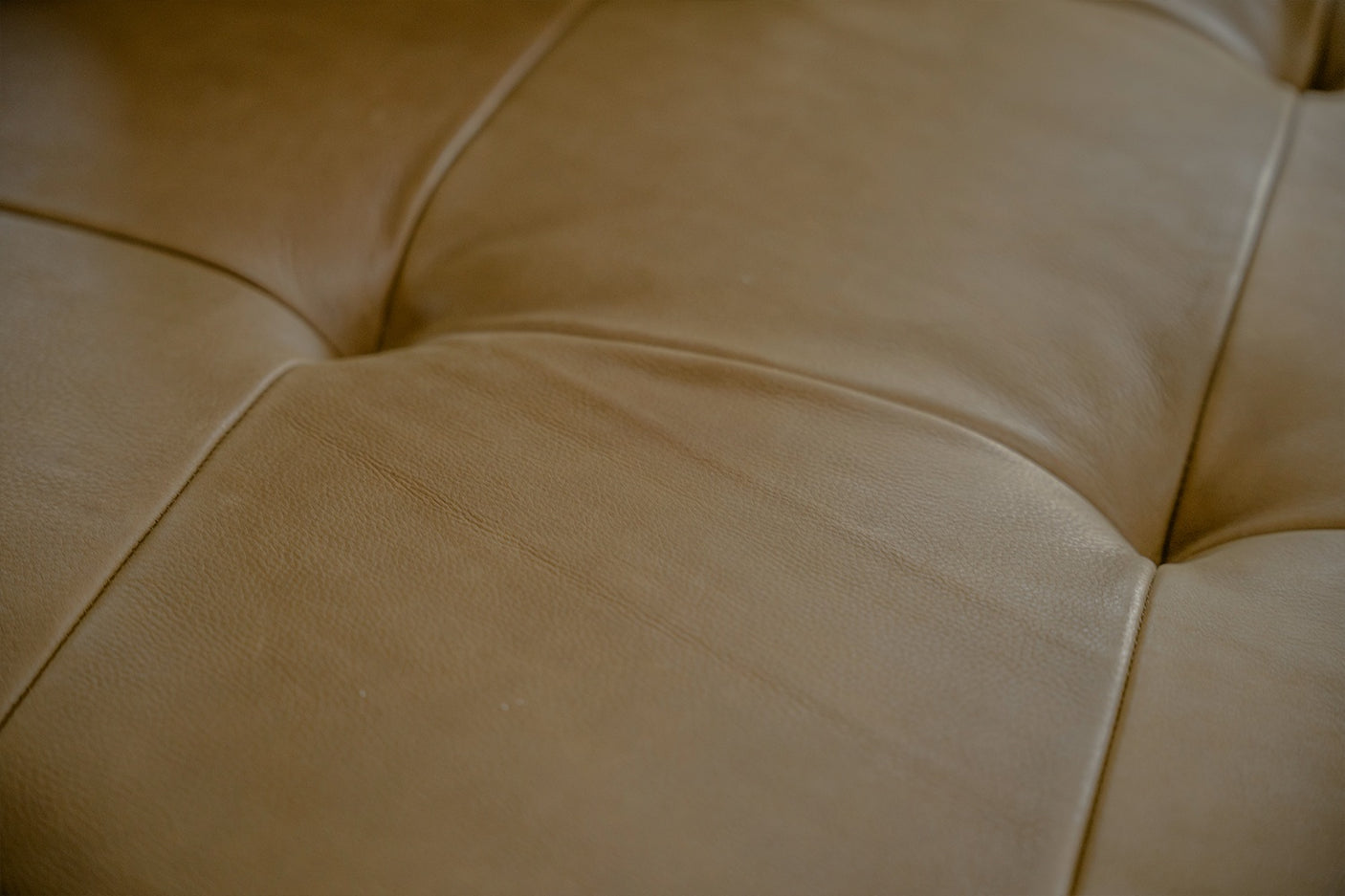 c9c1849a-4705-49b4-9f47-74a511de1807