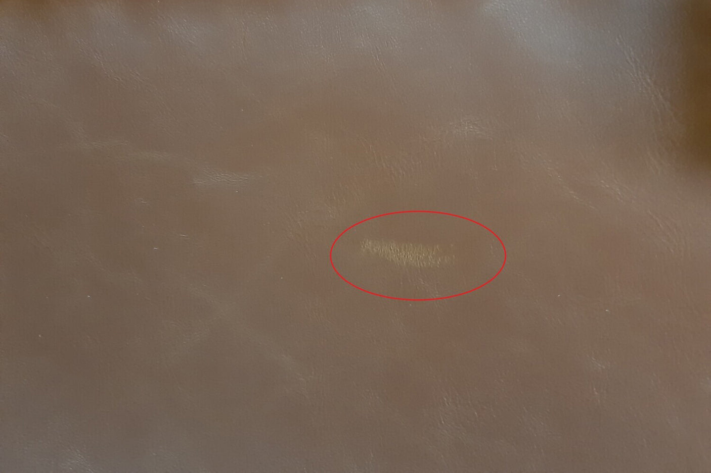 22a816f8-b45c-404a-8bc2-05d7a0a5a54e